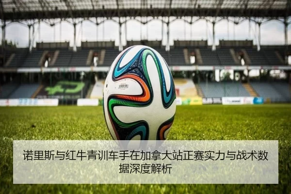 诺里斯与红牛青训车手在加拿大站正赛实力与战术数据深度解析