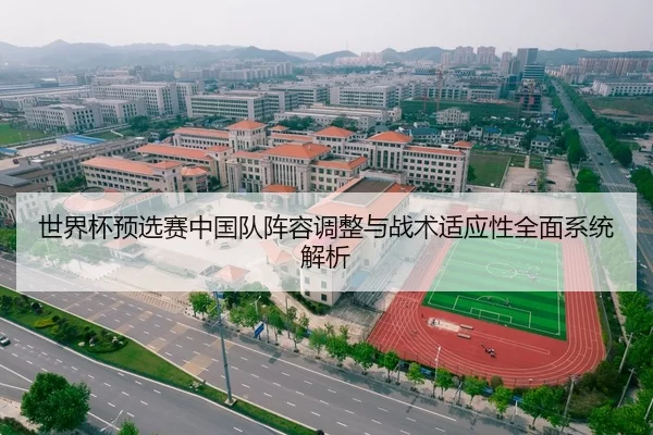 世界杯预选赛中国队阵容调整与战术适应性全面系统解析